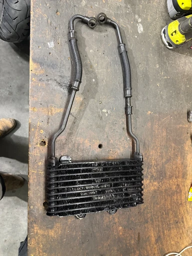 Radiateur d'huile occasion — Suzuki GSF 600 Bandit